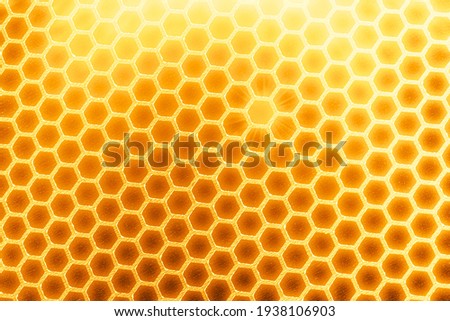 Background with honeycombs, pattern of honey.