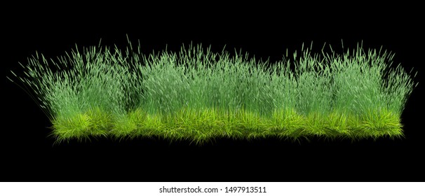 Grass Png Images Stock Photos Vectors Shutterstock
