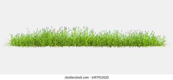 Download  Grass Background Clipart  Free Transparent PNG Clipart Images  Download