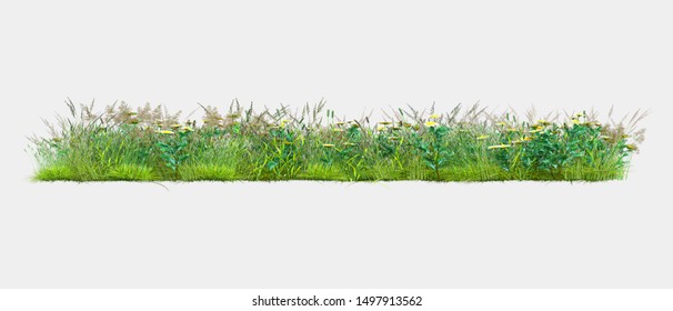 Frame of flowers png stock photo Image of floral butterfly  128328156