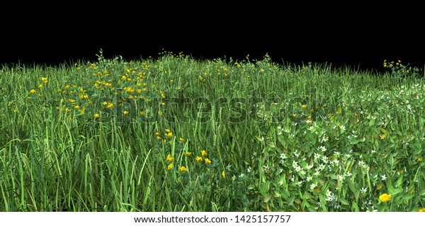 草の緑の野原と花の背景イラスト 3dレンダリング 商用バナーや印刷に便利 のイラスト素材