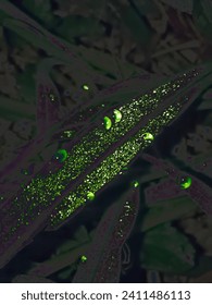 Background image in green tones