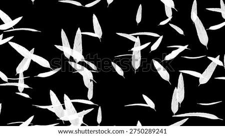 Background image of white feathers fluttering