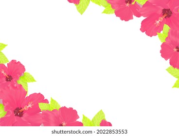 沖縄 ハイビスカス のイラスト素材 画像 ベクター画像 Shutterstock