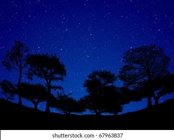 Background Night Sky Over Forest Stock Illustration 67963837 | Shutterstock