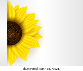 Half Sunflower Images, Stock Photos & Vectors | Shutterstock