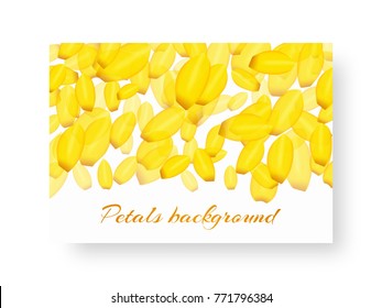 Background pattern with falling petals of a blooming tulip