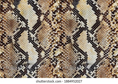 Background Of Snake Skin Texture Pattern Seamless 