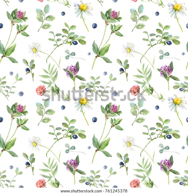 夏の植物の背景 白い背景に水彩の野生の花 葉 ベリー 柔らかいシームレスな模様で 咲くピンクのクローバー カモミール プロバンス風のかわいい 植物の壁紙 のイラスト素材