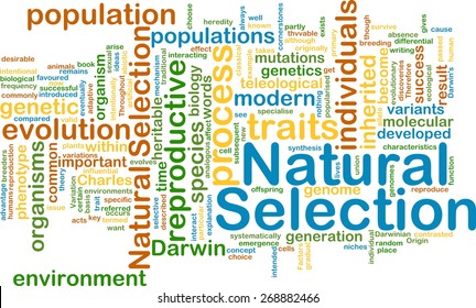 Background Text Pattern Concept Wordcloud Illustration Of Natural Selection