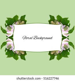 background texture made of apple brunch with white flowers and place for text