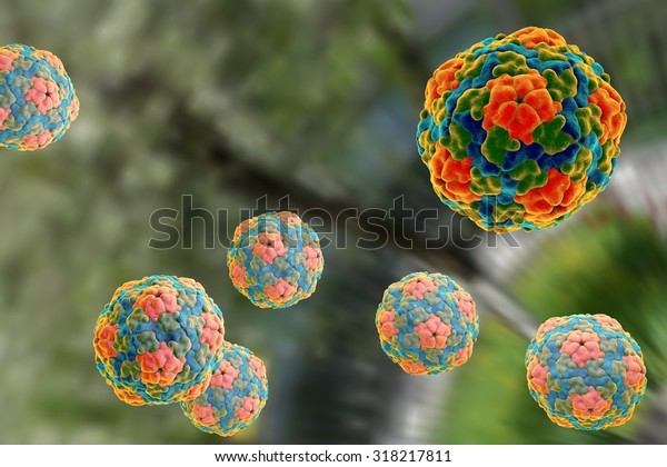 Background with viruses. Hepatitis A virus. A model\
is built using data of viral macromolecular structure furnished by\
Protein Data Bank (PDB\
4QPI)