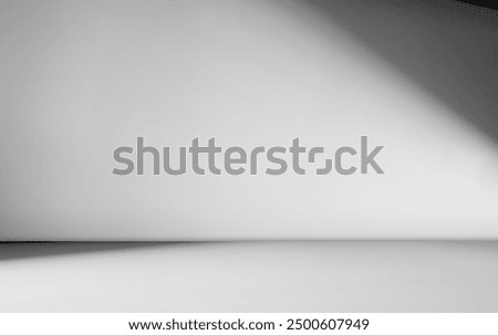 Background wall floor shadow grey leaf white light kitchen abstract studio product minimal room marble mockup display stage scene platform shelf space pattern backdrop table product summer travel.