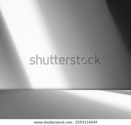 Background wall shadow kitchen floor grey white abstract studio concrete table white texture light texture mockup product marble room display plant cement minimal shelft bar leaves backdrop