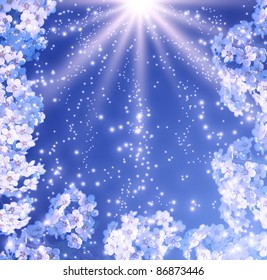 Background with white flowers and rays
