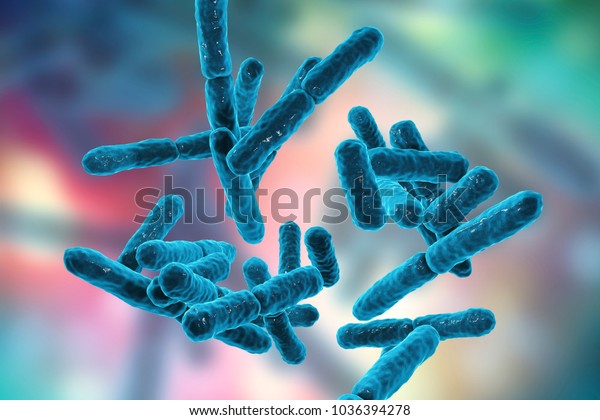 Bakterien Bifidobacterium Grampositive Anaerobe Stabchen Formige Bakterien Stockillustration