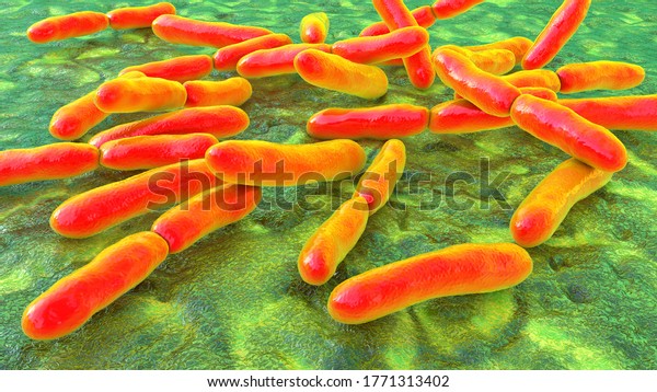 Bacteria\
Bifidobacterium, gram-positive anaerobic rod-shaped bacteria which\
are part of normal flora of human intestine are used as probiotics\
and in yoghurt production. 3D\
illustration