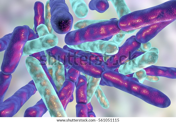 Bakterien Bifidobacterium Grampositive Anaerobe Stabchen Formige Bakterien Stockillustration