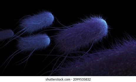 Bacteria in black background. 3d rendering medical illustration. Image shows coliform bacteria with flagella.