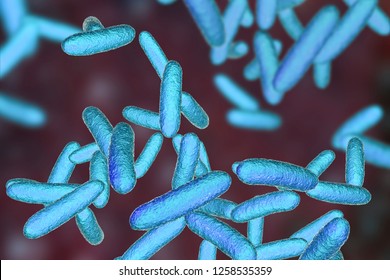 Bacteria Citrobacter, Gram-negative coliform bacteria from Enterobacteriaceae family, 3D illustration. They are found in human intestine and can cause urinary infections, infant meningitis and sepsis