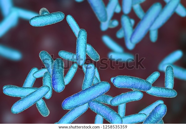 Bacteria Citrobacter Gramnegative Coliform Bacteria Enterobacteriaceae 