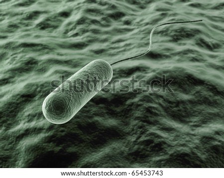 Bacteria with Flagella