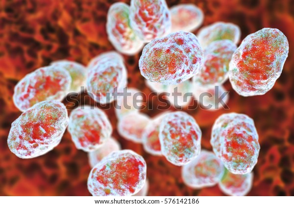 Bacteria Francisella tularensis, 3D\
illustration. Gram-negative pleomorphic bacteria which cause\
zoonotic infection\
tularemia