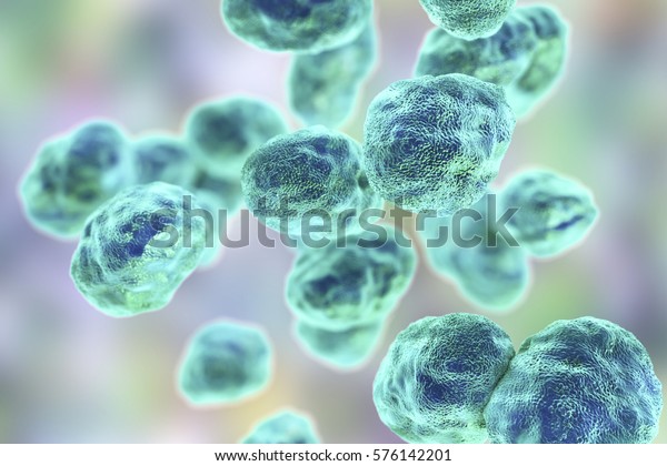 Bacteria Francisella tularensis, 3D\
illustration. Gram-negative pleomorphic bacteria which cause\
zoonotic infection\
tularemia