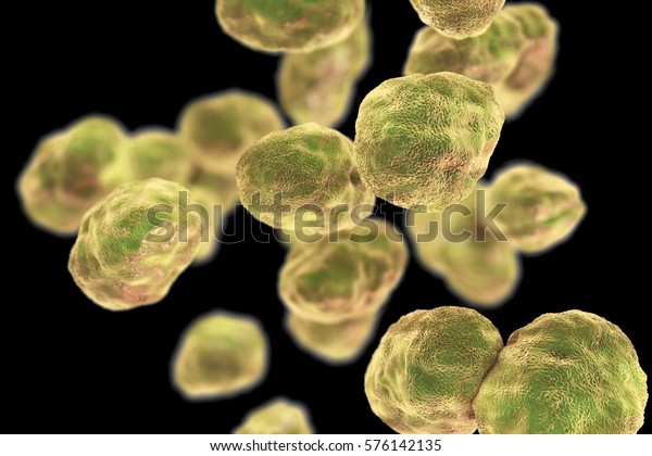 Bacteria Francisella Tularensis Isolated On Black Stock Illustration 576142135