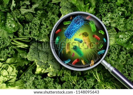Bacteria and germs on vegetables and the health risk of ingesting contaminated green food including romaine lettuce as a produce safety concept 3D render elements. Stock photo © 