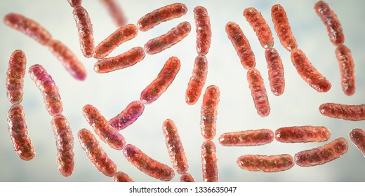 145 Lactobacillus reuteri Images, Stock Photos & Vectors | Shutterstock