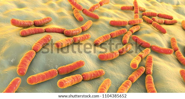 Bacteria\
Lactobacillus, 3D illustration. Normal flora of small intestine,\
lactic acid bacteria. Probiotic\
bacterium