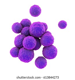 Bacteria Methicillin-resistant Staphylococcus Aureus MRSA, Multidrug Resistant Bacteria, Isolated On White Background, 3D Illustration