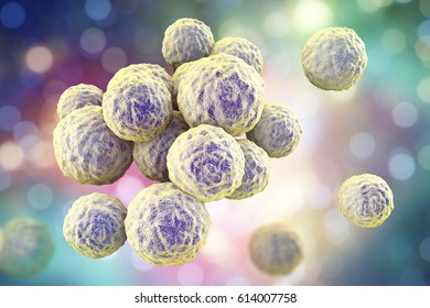 Bacteria Methicillin-resistant Staphylococcus Aureus MRSA, Multidrug Resistant Bacteria, 3D Illustration