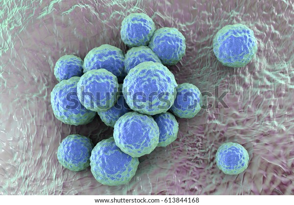 Bacteria Methicillinresistant Staphylococcus Aureus Mrsa Multidrug ...