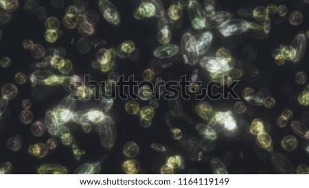 bacteria microorganisms microscope