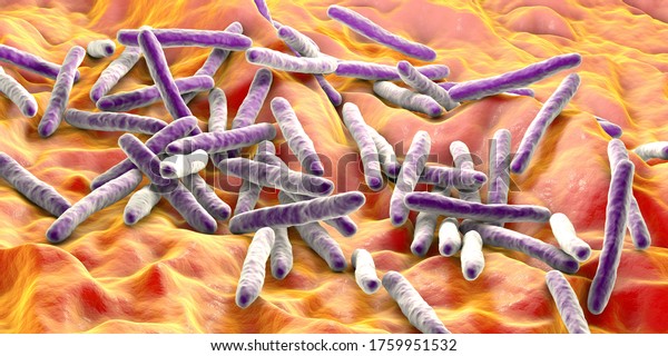 Bacteria Mycobacterium tuberculosis, the\
causative agent of tuberculosis, 3D illustration, can be used for\
M. leprae, M. avium complex and other\
mycobacteria