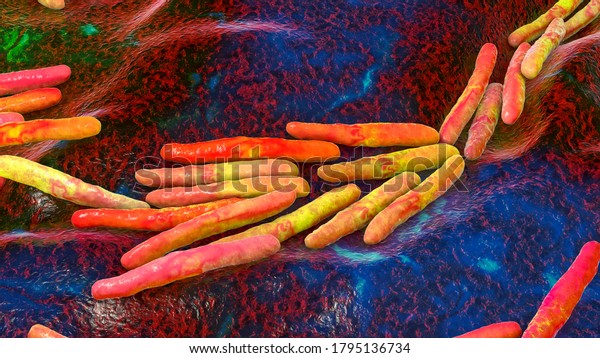 Bacteria Mycobacterium tuberculosis, the\
causative agent of tuberculosis, 3D\
animation