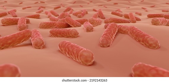 Bacteria On Skin, Skin Microbiome 3d Illustration