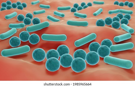 Bacteria On Skin Surface, Skin Microbiome 3d Illustration