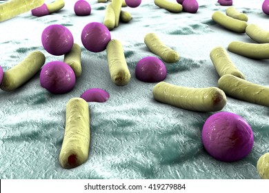 Bacteria On The Surface Of Skin Or Mucous Membrane, 3D Illustration