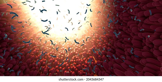 Bacteria As Part Of The Intestinal Microbiome In The Digestive Tract - 3d Illustration