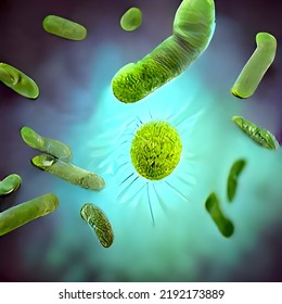 Bacteria As Part Of The Intestinal Microbiome In The Digestive Tract - 3d Illustration