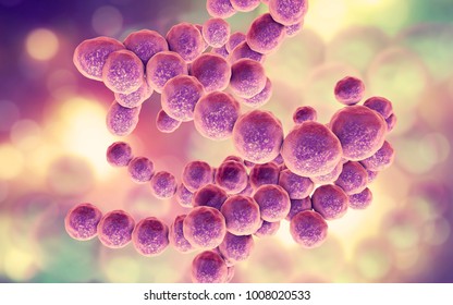 Bacteria Peptococcus, anaerobic Gram-positive cocci, they are part of human microbiome in intestine and also cause inflammations of different location, 3D illustration