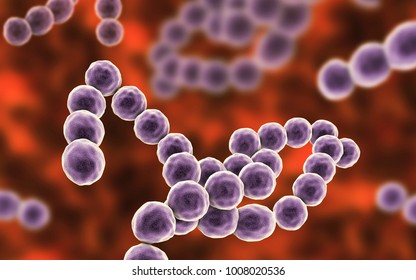 Bacteria Peptostreptococcus Anaerobic Grampositive Cocci They Stock ...