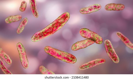 Bacteria Sphingomonas Scientific 3d Illustration Gramnegative Stock ...