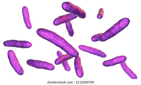 528 Bioremediation Images, Stock Photos & Vectors | Shutterstock