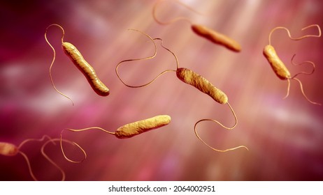 Bacteria Stenotrophomonas Maltophilia, 3D Illustration. Gram-negative Bacilli That Cause Nosocomial Infections, Endocarditis, Wound Infections, Bacteremia And Other