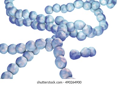 Bacteria Streptococcus, gram-positive spherical bacteria isolated on white background. 3D illustration