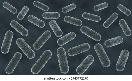 272 Gram positive and negative bacteria Stock Illustrations, Images ...